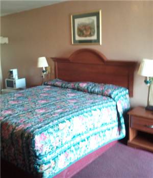 Imagen de la habitación del Motel Shamrock Hot Springs. Foto 2