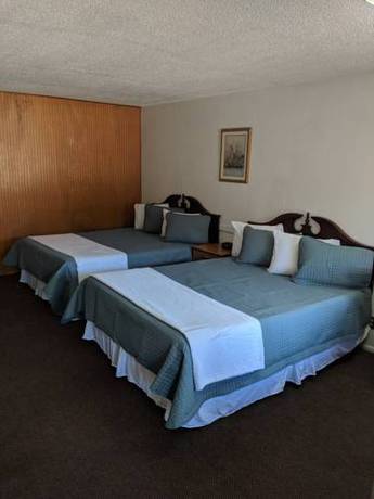 Imagen de la habitación del Motel Sherwood Forest. Foto 1