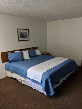 Imagen de la habitación del Motel Sherwood Forest. Foto 3