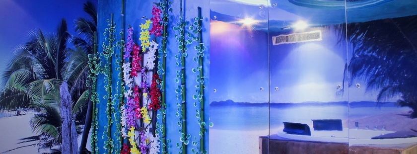 Imagen de la habitación del Motel Silk. Foto 5