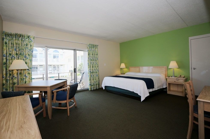 Imagen de la habitación del Motel Silver Gull. Foto 5