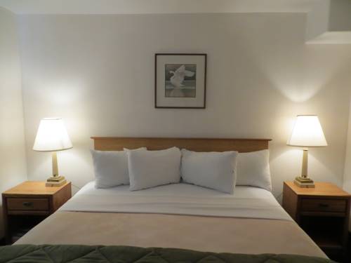 Imagen de la habitación del Motel Silver Saddle. Foto 1