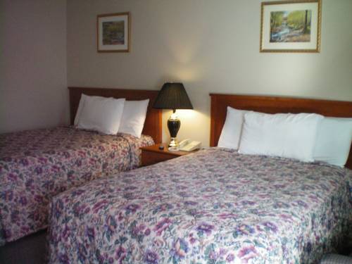 Imagen de la habitación del Motel Silverstar. Foto 13