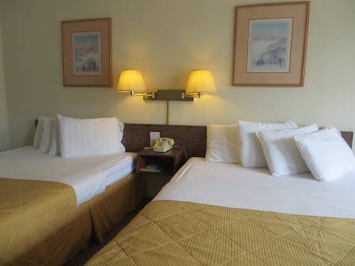 Imagen de la habitación del Motel Sleepy Bear. Foto 4