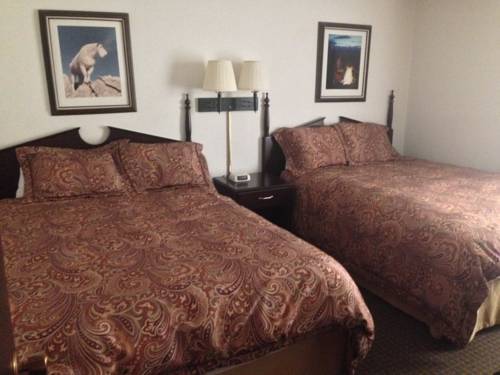 Imagen de la habitación del Motel Snowshoe. Foto 6