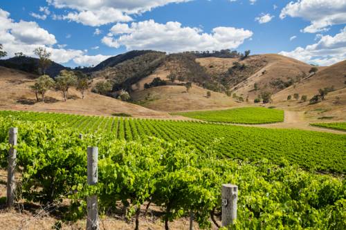 Imagen de la habitación del Motel Soldiers. Foto 6