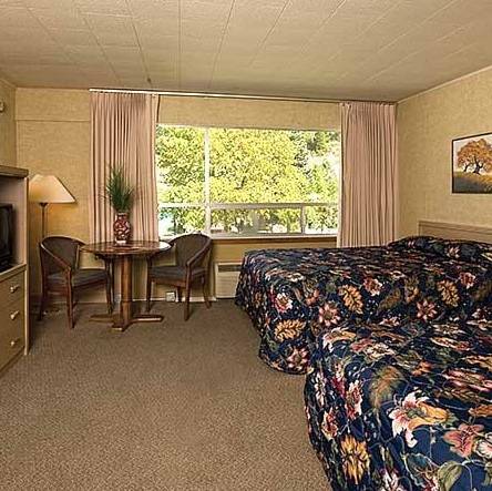 Imagen de la habitación del Motel Stardust. Foto 4