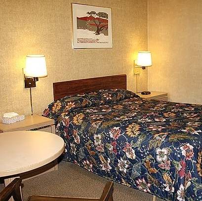 Imagen de la habitación del Motel Stardust. Foto 5