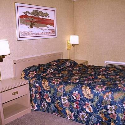 Imagen de la habitación del Motel Stardust. Foto 6