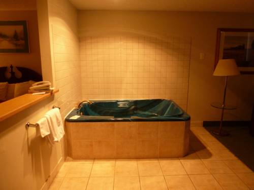 Imagen de la habitación del Motel Sunshine Ii. Foto 6