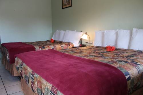 Imagen de la habitación del Motel Sunshine - Venice. Foto 10