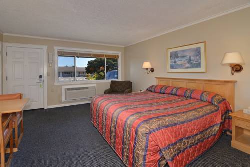 Imagen de la habitación del Motel Surf and Gardens. Foto 3