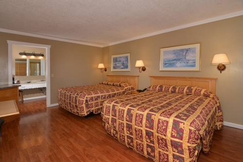 Imagen de la habitación del Motel Surf and Gardens. Foto 5