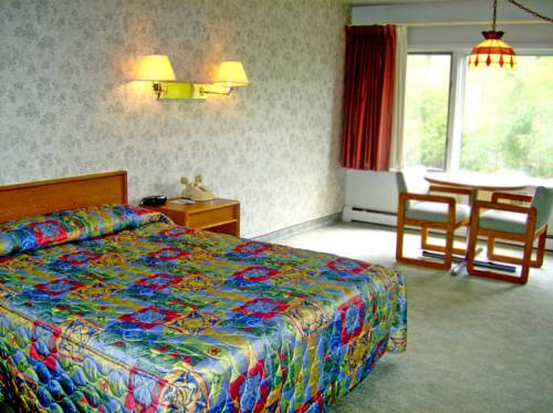 Imagen de la habitación del Motel Swan Inn, Comstock Park. Foto 5