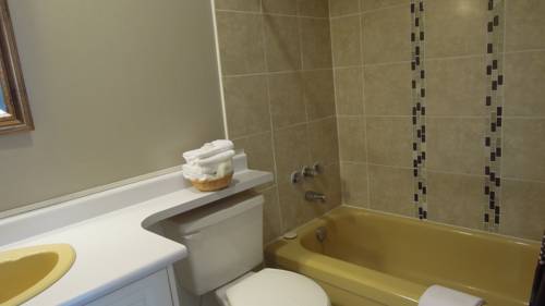 Imagen de la habitación del Motel Swiss Chalets. Foto 8