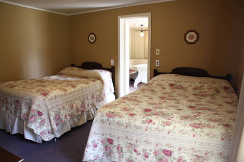 Imagen de la habitación del Motel Swiss Chalets. Foto 16