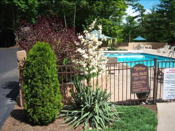 Imagen de la piscina del Motel Tall Pines. Foto 9