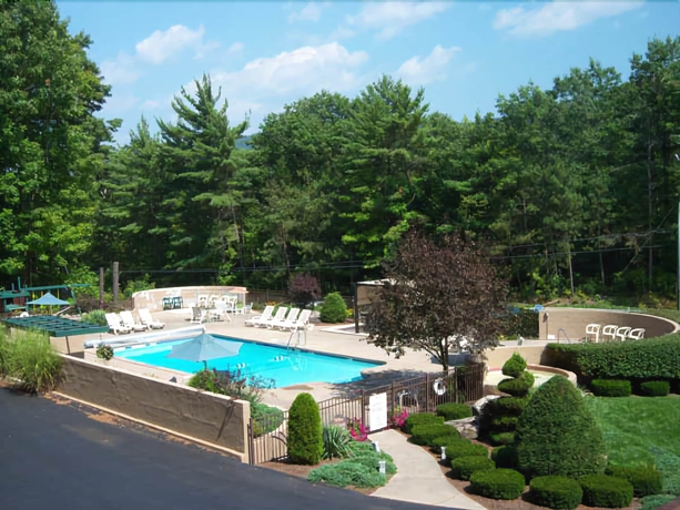 Imagen de la piscina del Motel Tall Pines. Foto 10