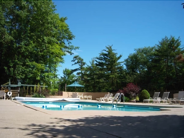 Imagen de la piscina del Motel Tall Pines. Foto 16
