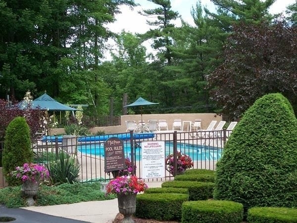 Imagen de la piscina del Motel Tall Pines. Foto 17