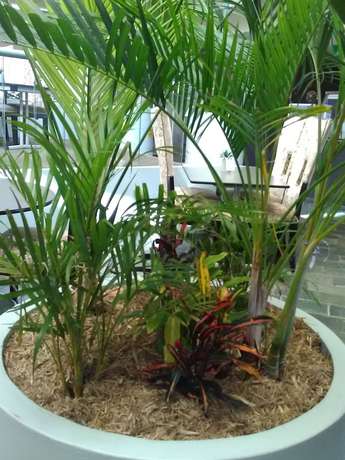 Imagen de los interiores del Motel Tamwell and Coffee Lounge. Foto 14