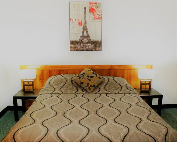 Imagen de la habitación del Motel Tamworth Budget. Foto 23