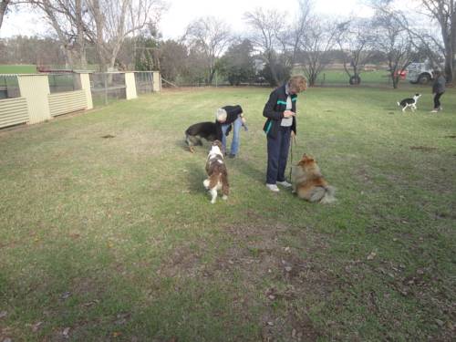 Imagen de la habitación del Motel The Aston - Tamworth. Foto 5