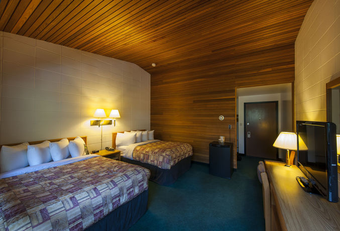 Imagen de la habitación del Motel The Dorothy. Foto 6