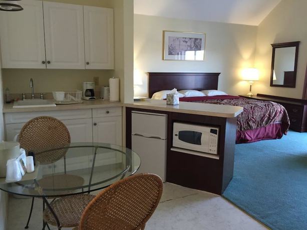 Imagen de la habitación del Motel The Falls, Montour Falls. Foto 11
