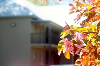 Imagen general del Motel The Imperial, Bowral. Foto 3