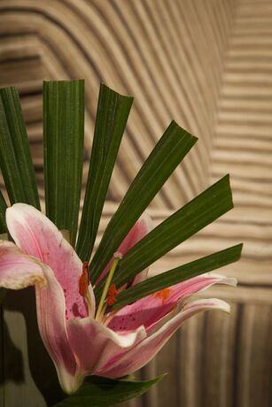 Imagen de los interiores del Motel The Mews Oamaru. Foto 33