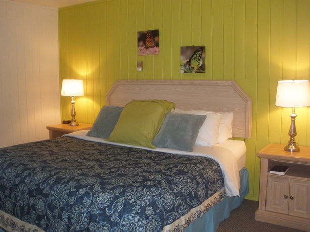 Imagen de la habitación del Motel The Piccadilly, Radium Hot Springs. Foto 6