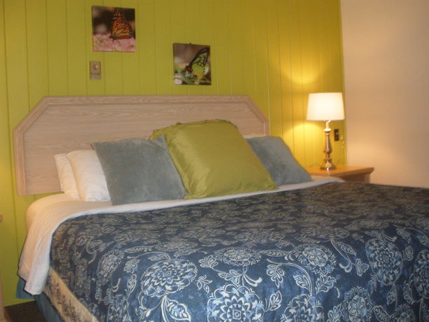 Imagen de la habitación del Motel The Piccadilly, Radium Hot Springs. Foto 8