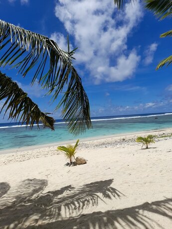Imagen general del Motel The Reef, Rarotonga. Foto 4