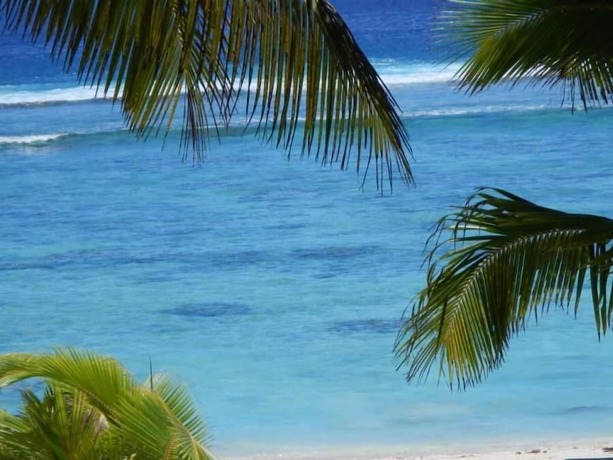 Imagen de los exteriores del Motel The Reef, Rarotonga. Foto 30