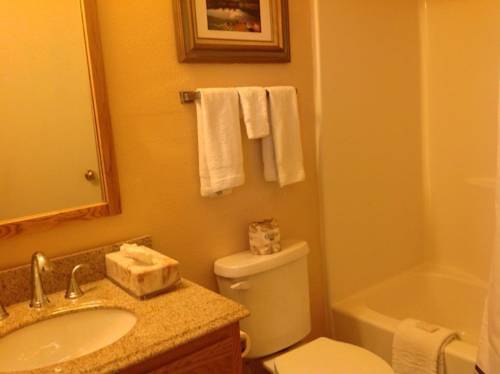 Imagen de la habitación del Motel The River's Edge Lodge and Resort. Foto 3