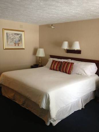 Imagen de la habitación del Motel The Sea View. Foto 9