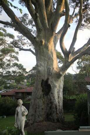 Imagen general del Motel The Tree. Foto 9