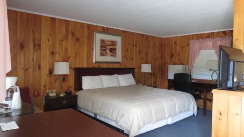 Imagen de la habitación del Motel The Villager. Foto 14