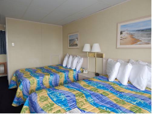 Imagen general del Motel Thunderbird Beach, Ocean City. Foto 1