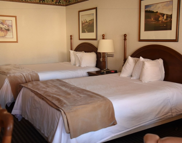 Imagen de la habitación del Motel Thunderbird, Elko. Foto 7