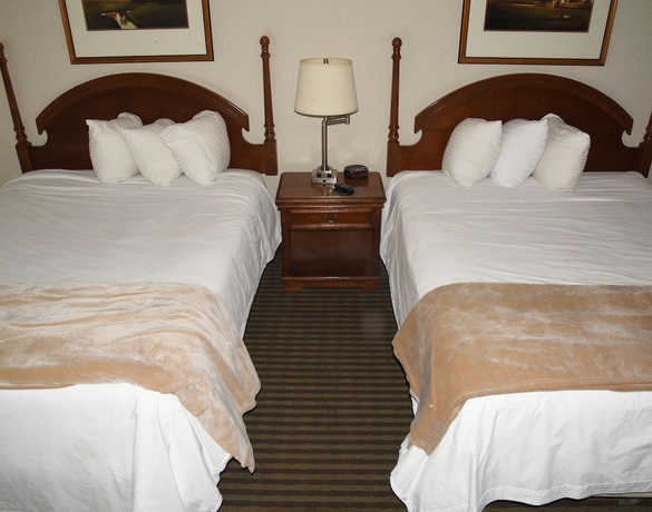 Imagen de la habitación del Motel Thunderbird, Elko. Foto 8