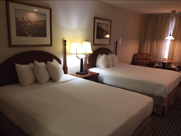 Imagen de la habitación del Motel Thunderbird, Elko. Foto 11