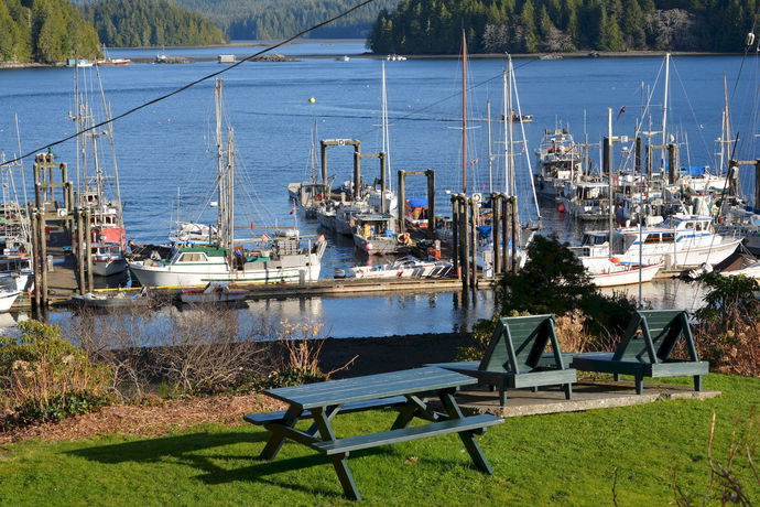 Imagen de la habitación del Motel Tofino Harborview. Foto 7