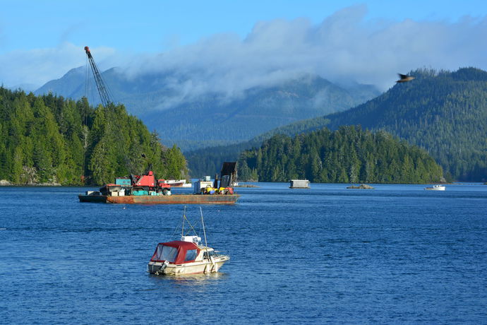 Imagen de los exteriores del Motel Tofino Harborview. Foto 15