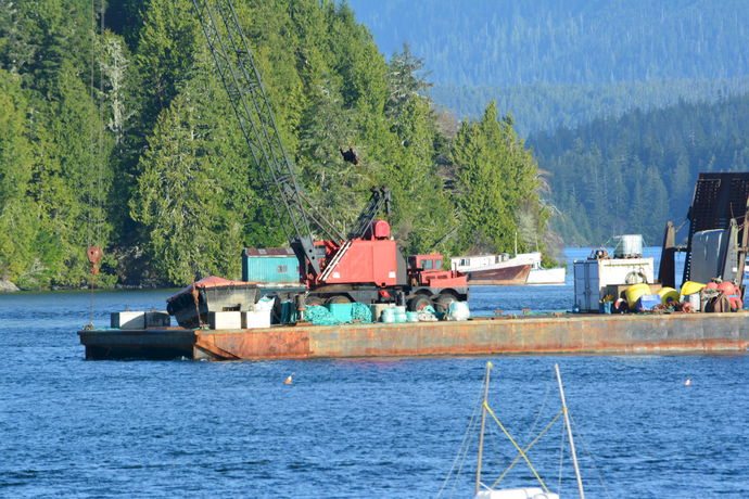 Imagen de los exteriores del Motel Tofino Harborview. Foto 16