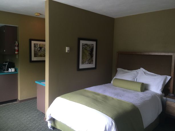 Imagen de la habitación del Motel Totem Lodge. Foto 3