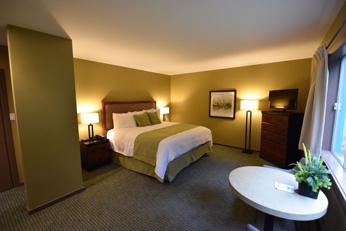 Imagen de la habitación del Motel Totem Lodge. Foto 7