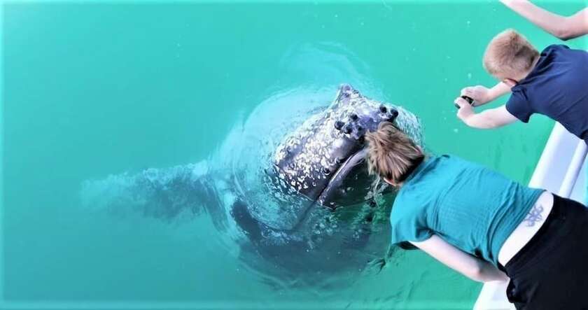 Imagen general del Motel Tower Court. Foto 15