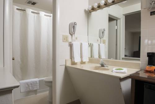 Imagen de la habitación del Motel Travelers Rest. Foto 4